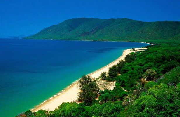 Cairns Reef/Rainforest : Daintree Rainforest & Great Barrier Reef