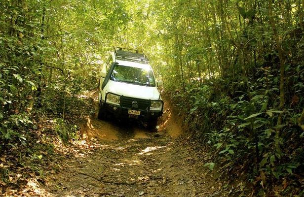 Barron Gorge and Kuranda National Park Half Day Rainforest and Waterfall 4WD Tour from Cairns