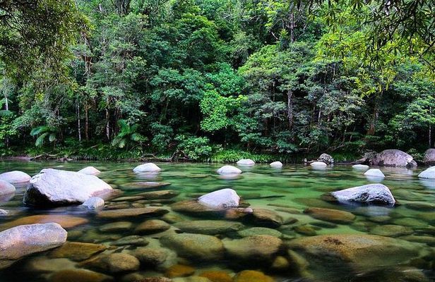 From Cairns: Cooktown, Daintree & Outback 3 Day Small-Group Tour