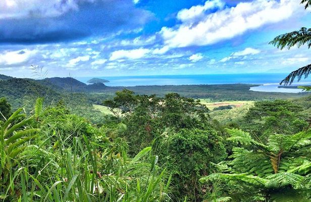 Private Cape Tribulation & Mossman Gorge Day Tour