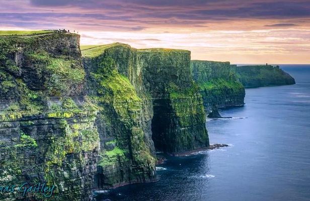 Aran Island, Cliffs of Moher & Cruise tour from Galway. Guided.