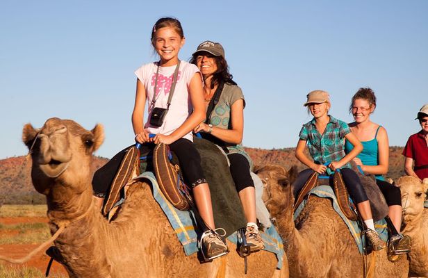 Alice Springs Camel Tour