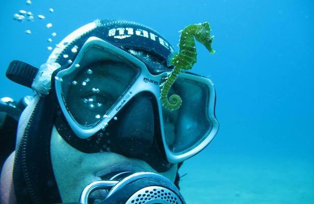 Try Scuba Diving in Split