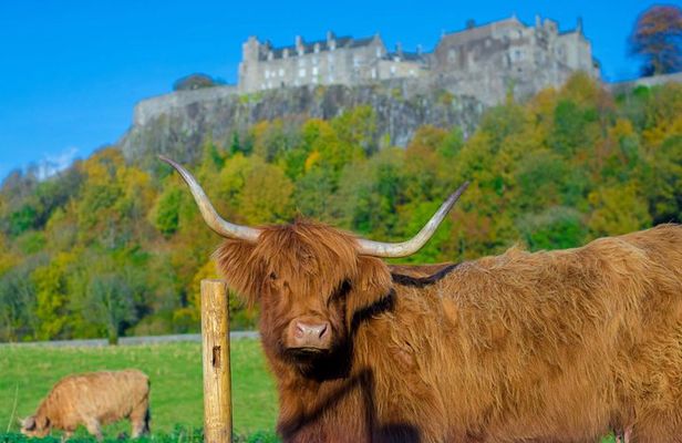 Stirling Castle,Trossachs National and Loch Lomond Day Tour from Edinburgh