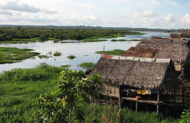 3-Day Amazon Jungle Adventure from Iquitos