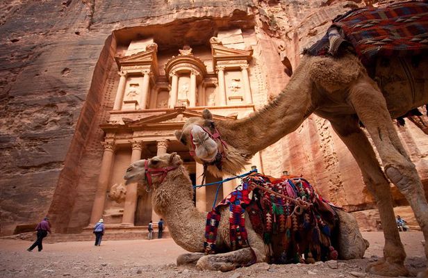 Best of Jordan Tour Amman Petra and Dead Sea with Camping at Wadi