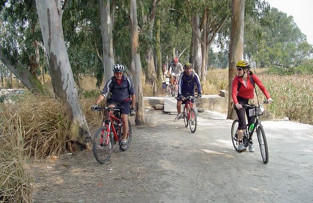 Half-Day Hong Kong Cycling Tour Including Dim Sum Lunch