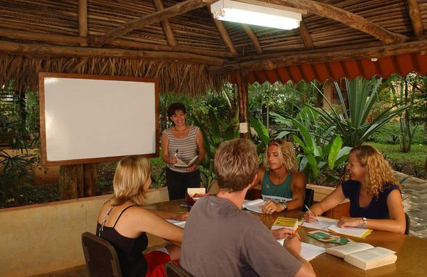 1- or 2-Week Spanish Immersion Program in Tamarindo