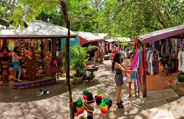 Adventure on a Budget Visit Kuranda or Palm Cove from Pt Douglas
