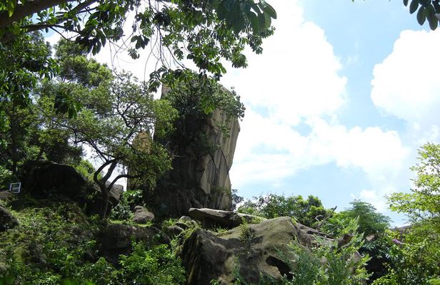 4-Hour Small Group Kowloon Sightseeing Tour
