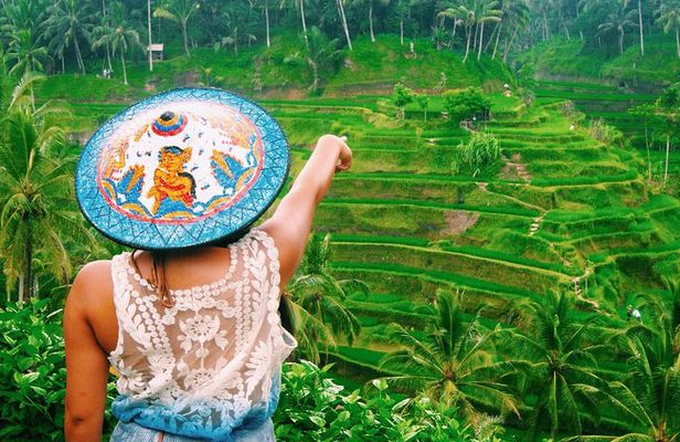 Best of Ubud Attractions: Private All-Inclusive Tour