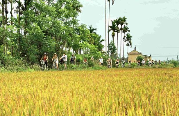 Hoi An Countryside bike tour to Kim Bong village