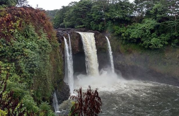 5 Hour Custom Private Tour of Hawaii