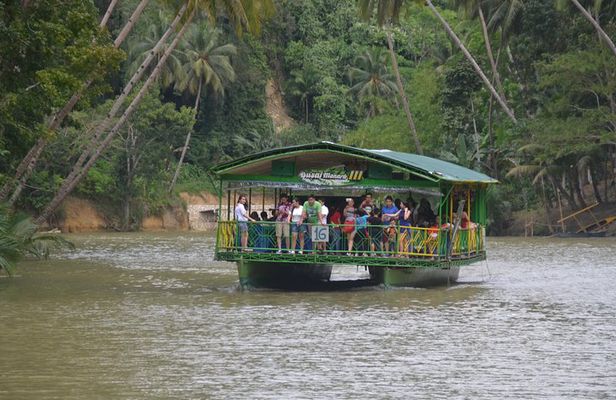 Bohol Island Countryside Tour with Buffet Lunch River Cruise (Cebu or Bohol)