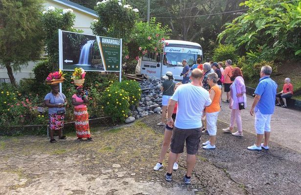 Shared Tour: Annandale Waterfalls, Forts & Grand Anse Beach.