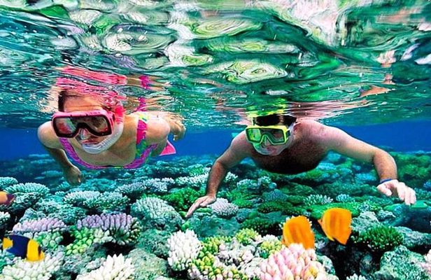 Reef Snorkel, underwater adventure in Puerto Morelos With Transportation & Lunch