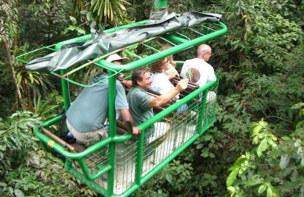 Rainforest Aerial Tram