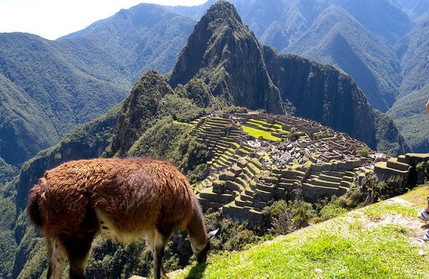 4 Day - Machu Picchu Special - Group Service
