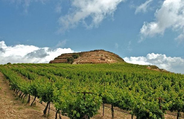 Crete Wine and Olive Oil Tour