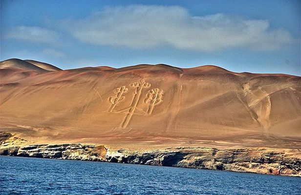 Ballestas Islands and Paracas Reserve from San Martin Port