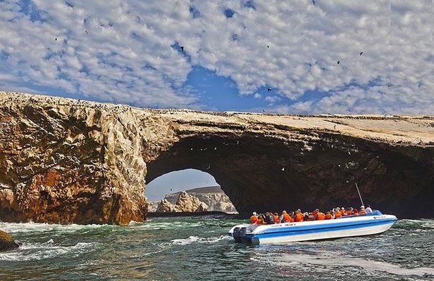 Ballestas Islands Group Tour from San Martin Port