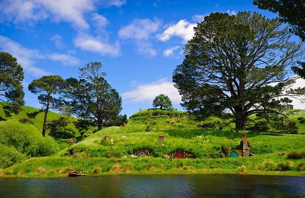 Day Tour Hobbiton + Rotorua from Auckland in Luxury Minibus