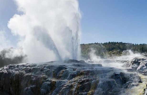 Rotorua Day Trip from Auckland with Options - Smaller groups
