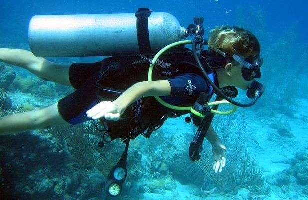 Discover Scuba Diving PADI in Playa del Carmen including underwater video