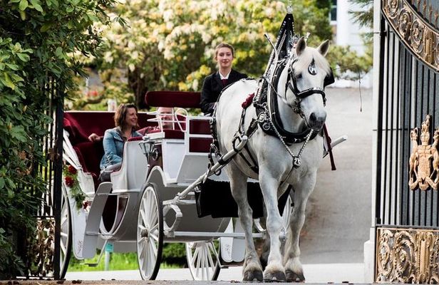 Premier Horse-Drawn Carriage Experience in Victoria