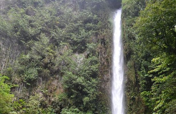 Middleham Falls and Ti'tou Gorge Half-Day Excursion