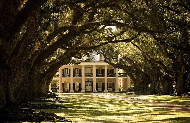 Oak Alley Plantation and Large Airboat Swamp Tour from New Orleans