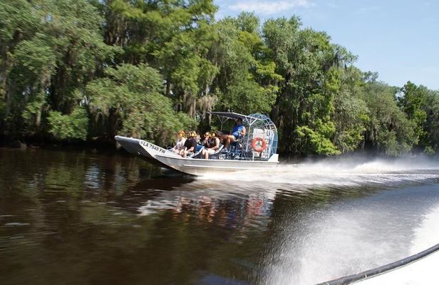 Large Airboat Swamp Tour with Transportation from New Orleans 
