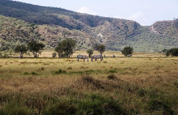 Private Hiking Day Trip to Mt. Longonot from Nairobi