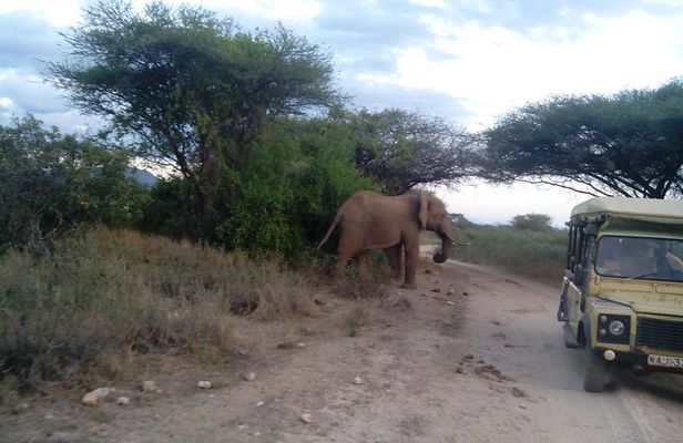 12 Days Kenya and Tanzania Budget Private Safari from Nairobi