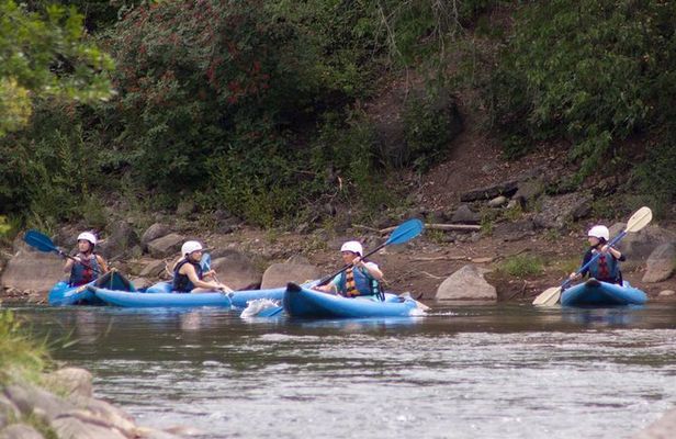 Durango Kayaking - Quarter Day Trip