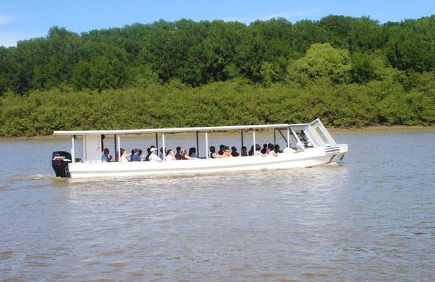 Palo Verde National Park Boat Tour