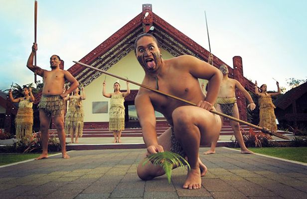 Rotorua Discovery Te Puia Tour