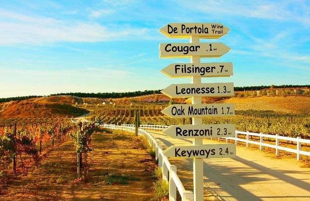 Temecula Wine Tour from San Diego