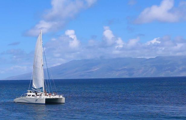 Whalewatch Sail from Lahaina