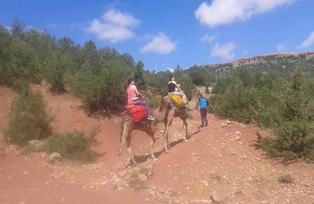 Private Day Trip from Marrakech: Camel Ride and Hike in the High Atlas Mountains