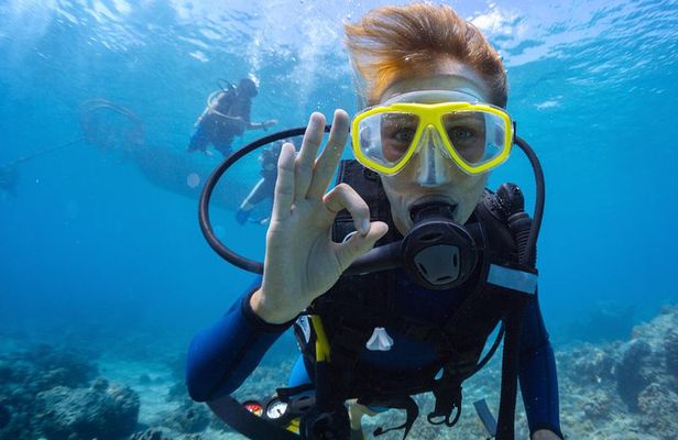 Discover Scuba Diving Aruba