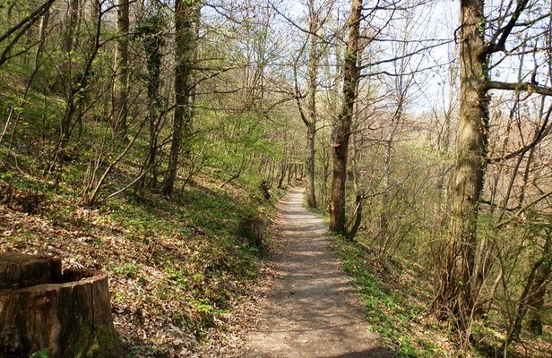 Medvednica Hiking and Chestnuts Picking Tour from Zagreb