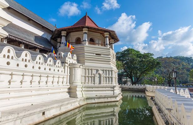 Temple of The Sacred Tooth Relic Entrance Ticket with Guide