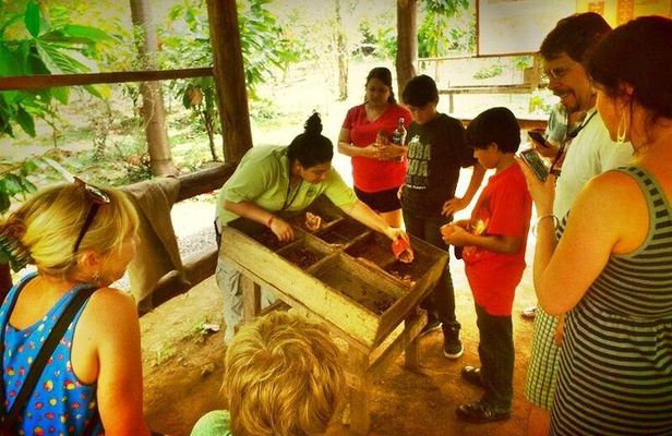 Half Day Nature Safari Float Tour and Chocolate Tour from La Fortuna-Arenal