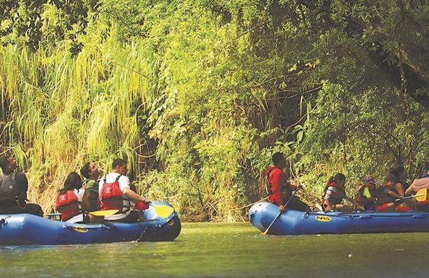 Nature Wildlife Safari Float Tour from La Fortuna-Arenal