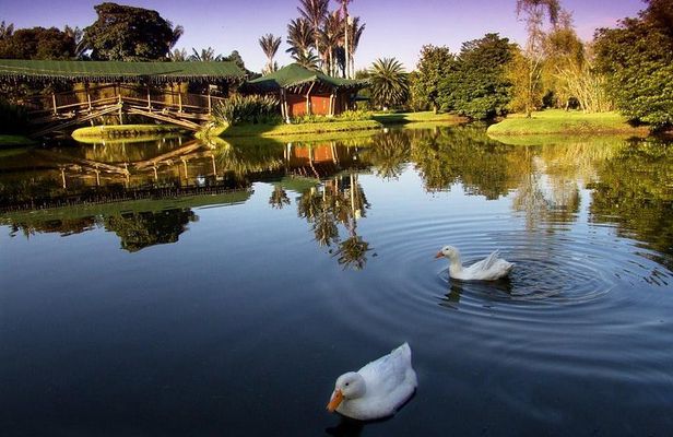 Botanical Garden Bogotá Private Tour (4 Hrs.)