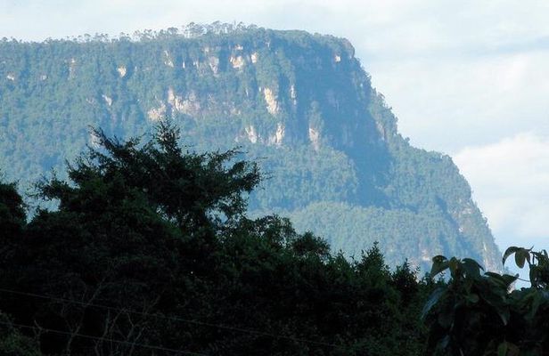 Visit to Chicaque Natural Park Private Tour from Bogotá. (8 Hrs.)