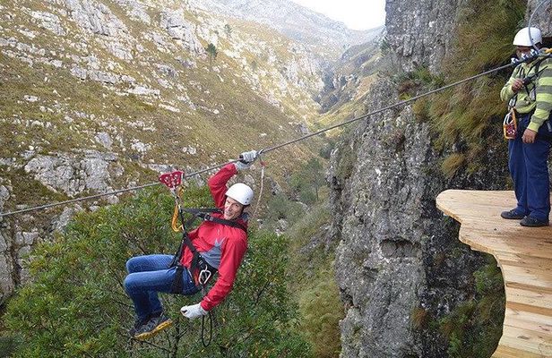 Zip Line and Wine from Cape Town