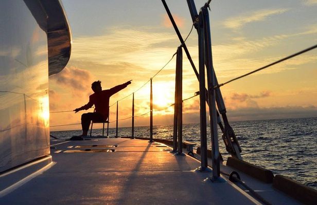 Midnightsun trip - Luxury Catamaran Arctic Princess