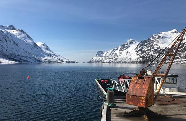 Fjord Sightseeing - Eco friendly Tesla Model X